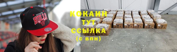 шишки Надым