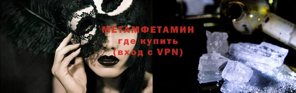 шишки Надым