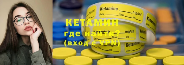 шишки Надым