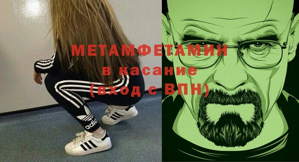 шишки Надым