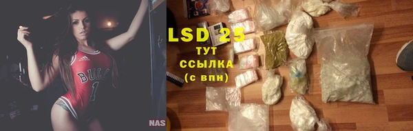 шишки Надым