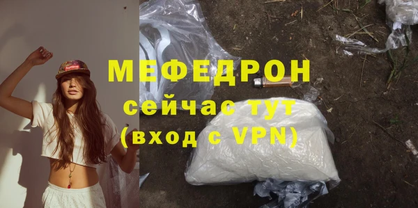 шишки Надым