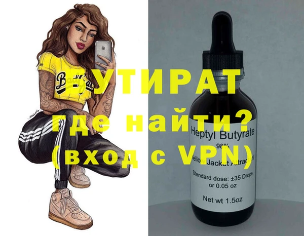 шишки Надым
