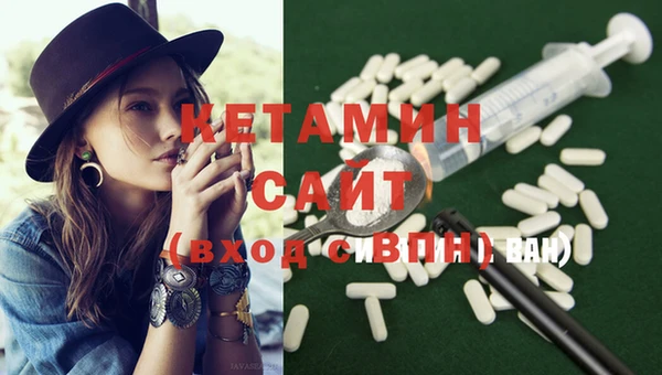 шишки Надым