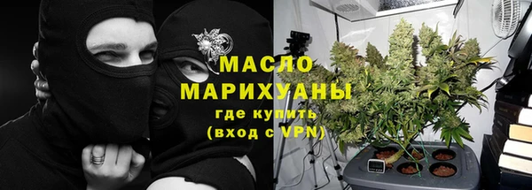 шишки Надым
