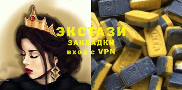 шишки Надым
