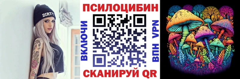 Псилоцибиновые грибы Cubensis  наркота  Суджа 